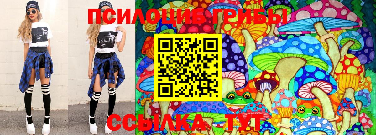 Псилоцибиновые грибы MAGIC MUSHROOMS  Вход с VPN  Вятские Поляны 